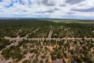 4935 Starlight Dr, Happy Jack, AZ 86024 - Photo 41