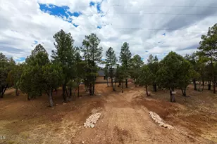 4935 Starlight Dr, Happy Jack, AZ 86024 - Photo 29