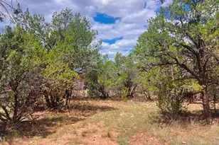 3491 Evergreen Dr, Overgaard, AZ 85933 - Photo 1