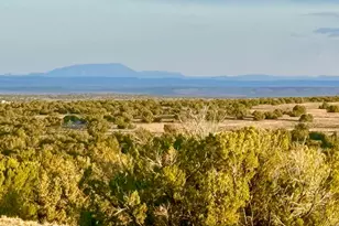 Tbd Co Rd N7120 40 Acres --, Saint Johns, AZ 85936 - Photo 1