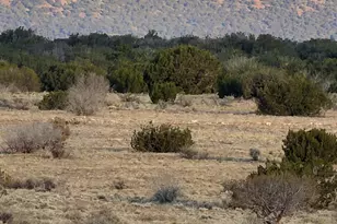 Sec 19 T15N R16E --, Heber, AZ 85928 - Photo 1