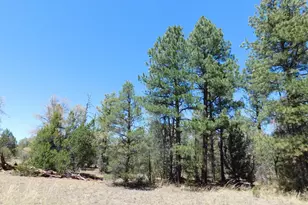 3100 Pinewood Dr, Overgaard, AZ 85933 - Photo 1