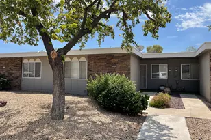 10141 W Campana Dr, Sun City, AZ 85351 - Photo 1