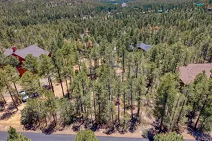 1101 E Pine Oaks Dr, Show Low, AZ 85901 - Photo 1