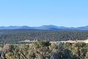 690 Cr 8235 Dr, Concho, AZ 85924 - Photo 7