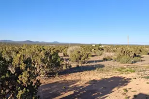 690 Cr 8235 Dr, Concho, AZ 85924 - Photo 9
