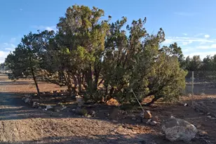 690 Cr 8235 Dr, Concho, AZ 85924 - Photo 11