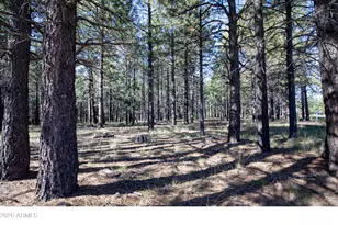 1924 Quilt Country Dr, Forest Lakes, AZ 85931 - Photo 1