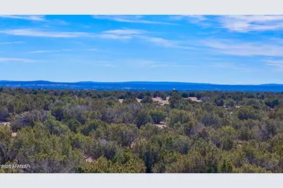 9023 Appaloosa Trail Lots C & E -- #-, Show Low, AZ 85901 - Photo 1