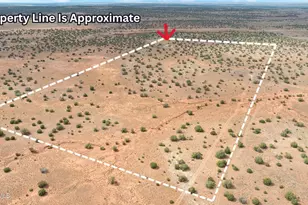 39 N5362 Rd, Concho, AZ 85924 - Photo 1
