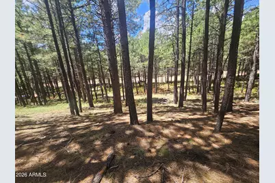 589 Trout Springs Road #71, Forest Lakes, AZ 85931 - Photo 1