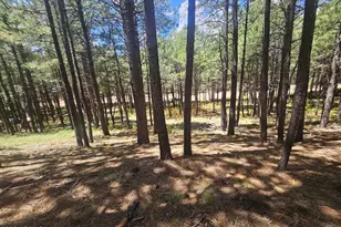 589 Trout Springs Rd, Forest Lakes, AZ 85931 - Photo 1