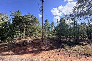5808 Pine Needle Dr, Happy Jack, AZ 86024 - Photo 1