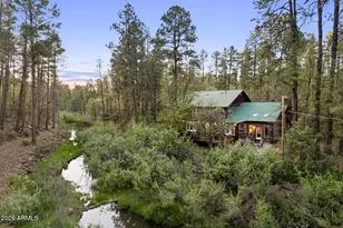 463 W Pine Shadow Dr, Lakeside, AZ 85929 - Photo 1
