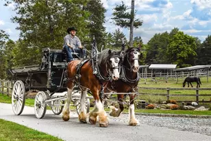 7 Fern Ridge, Richmond, RI 02898 - Photo 9