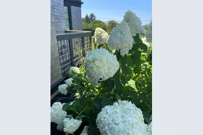 1448 Mohegan Trail, Block Island, RI 02807 - Photo 47