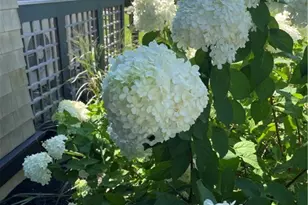 1448 Mohegan Trail, Block Island, RI 02807 - Photo 47