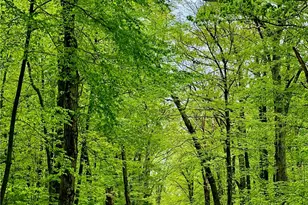 245 Reservoir Rd, Smithfield, RI 02859 - Photo 13