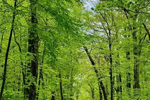 229 Reservoir Rd, Smithfield, RI 02859 - Photo 13