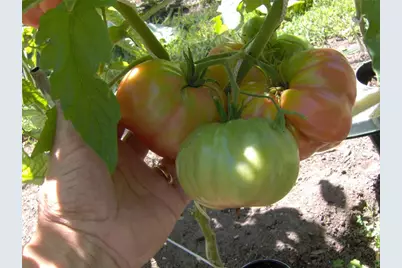 274 Albion Road, Lincoln, RI 02865 - Photo 17