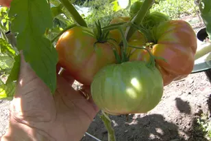 274 Albion Rd, Lincoln, RI 02865 - Photo 17