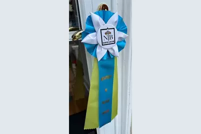 29 Fenner Avenue, Newport, RI 02840 - Photo 45