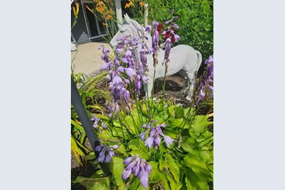 7 Taylor Road, Johnston, RI 02919 - Photo 45