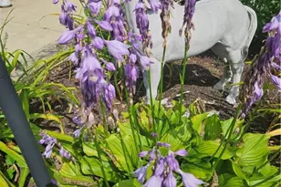 7 Taylor Rd, Johnston, RI 02919 - Photo 45