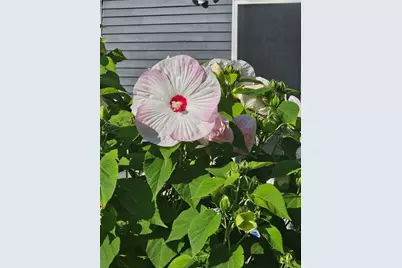 7 Taylor Road, Johnston, RI 02919 - Photo 41