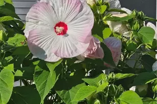 7 Taylor Rd, Johnston, RI 02919 - Photo 41