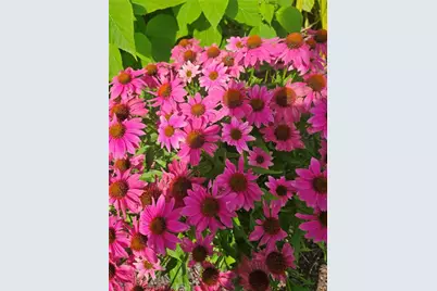 7 Taylor Road, Johnston, RI 02919 - Photo 43