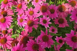 7 Taylor Rd, Johnston, RI 02919 - Photo 43