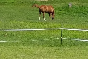 7 Taylor Rd, Johnston, RI 02919 - Photo 47