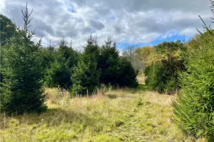 417 Victory Hwy, West Greenwich, RI 02817 - Photo 49