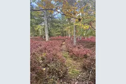 131 E Killingly Road, Foster, RI 02825 - Photo 31