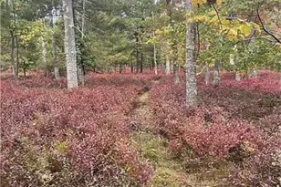 131 E Killingly Rd, Foster, RI 02825 - Photo 31