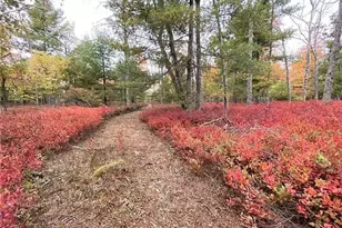 131 E Killingly Rd, Foster, RI 02825 - Photo 29