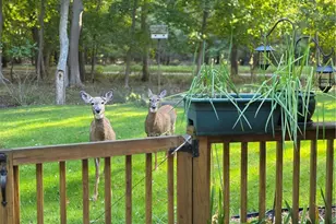 5 Mill Wheel Rd, Warwick, RI 02886 - Photo 35