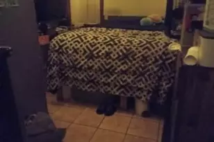 28 Verndale St, Providence, RI 02905 - Photo 7