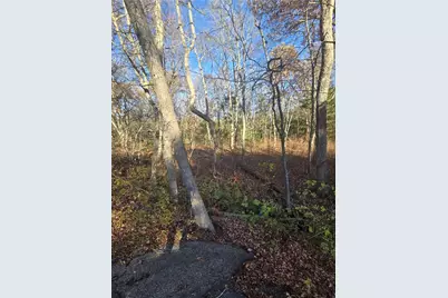 0 Alton Braford Road, Hopkinton, RI 02894 - Photo 7