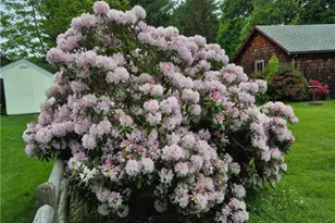 154 Essex Rd, North Kingstown, RI 02852 - Photo 11