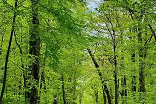 223 Reservoir Rd, Smithfield, RI 02859 - Photo 11