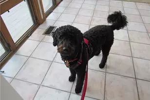 93 Elena St, Cranston, RI 02920 - Photo 39