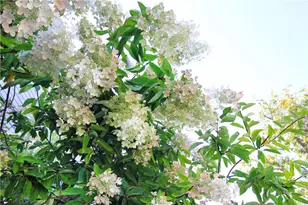 22 Bateman Ave, Newport, RI 02840 - Photo 5