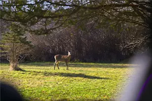 46 Simmons Rd, Little Compton, RI 02837 - Photo 25