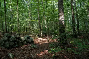 0 E Shore Dr, Exeter, RI 02822 - Photo 13