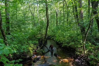 0 East Shore Drive, Exeter, RI 02822 - Photo 15