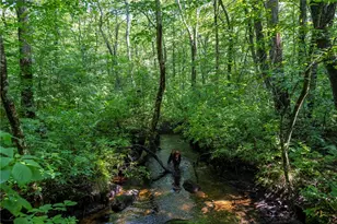 0 E Shore Dr, Exeter, RI 02822 - Photo 15