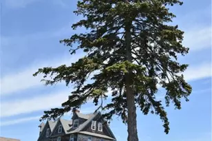 112 Noyes Neck Rd, Westerly, RI 02891 - Photo 3