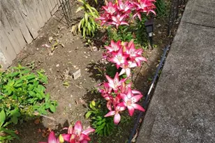 39 Holiday Ave, Warwick, RI 02888 - Photo 33